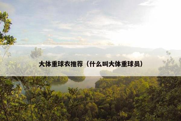 大体重球衣推荐（什么叫大体重球员）