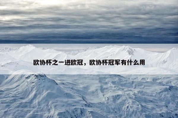 欧协杯之一进欧冠，欧协杯冠军有什么用