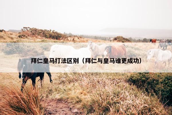 拜仁皇马打法区别（拜仁与皇马谁更成功）