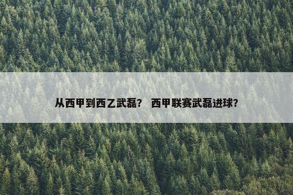 从西甲到西乙武磊？ 西甲联赛武磊进球？