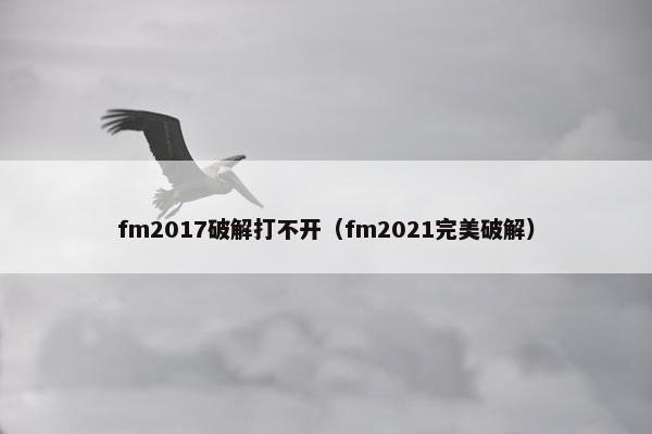 fm2017破解打不开（fm2021完美破解）