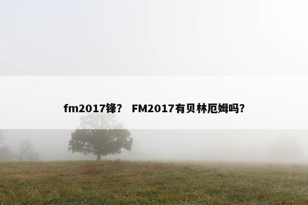 fm2017锋？ FM2017有贝林厄姆吗？