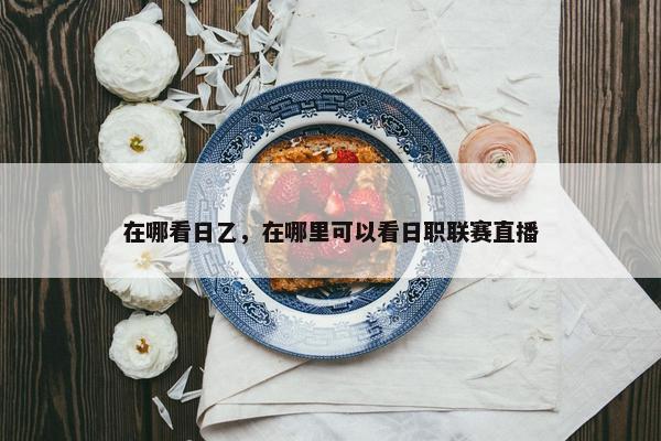 在哪看日乙，在哪里可以看日职联赛直播