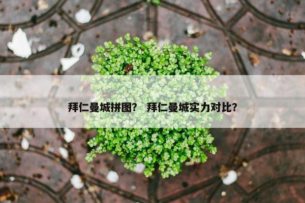 拜仁曼城拼图？ 拜仁曼城实力对比？