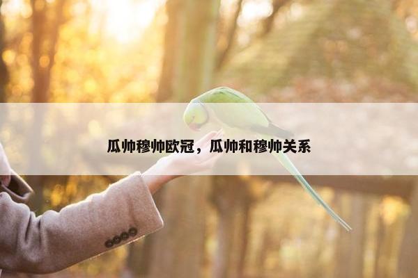 瓜帅穆帅欧冠，瓜帅和穆帅关系