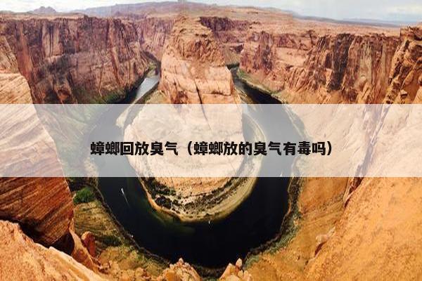 蟑螂回放臭气（蟑螂放的臭气有毒吗）
