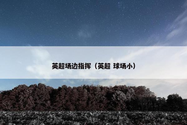 英超场边指挥（英超 球场小）