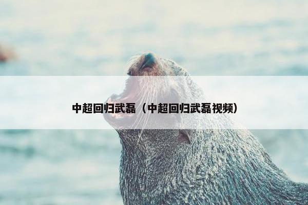 中超回归武磊（中超回归武磊视频）