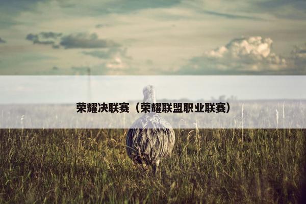 荣耀决联赛（荣耀联盟职业联赛）
