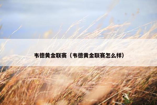 韦德黄金联赛（韦德黄金联赛怎么样）