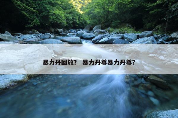 暴力丹回放？ 暴力丹尊暴力丹尊？