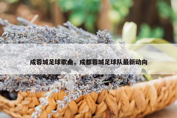 成蓉城足球歌曲，成都蓉城足球队最新动向