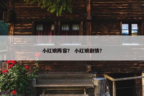 小红娘阵容？ 小红娘剧情？