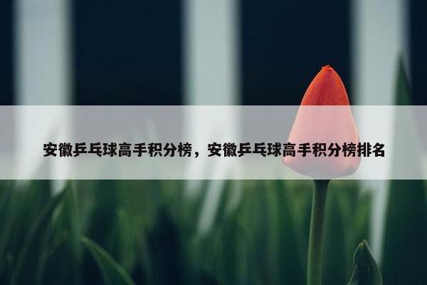 安徽乒乓球高手积分榜，安徽乒乓球高手积分榜排名