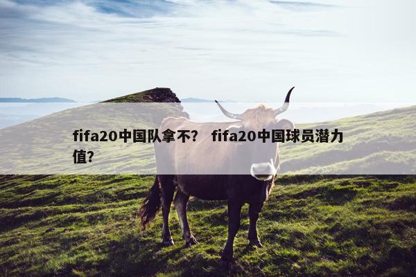 fifa20中国队拿不？ fifa20中国球员潜力值？