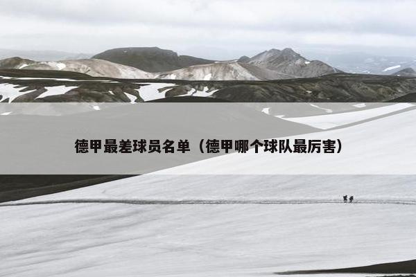 德甲最差球员名单（德甲哪个球队最厉害）