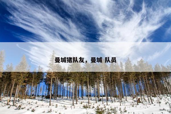 曼城猪队友，曼城 队员