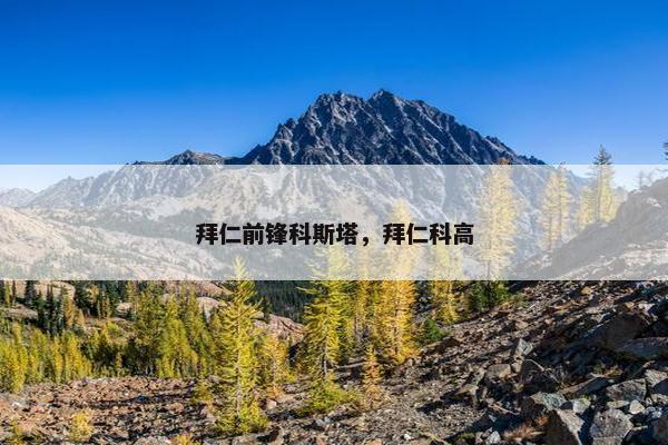 拜仁前锋科斯塔，拜仁科高