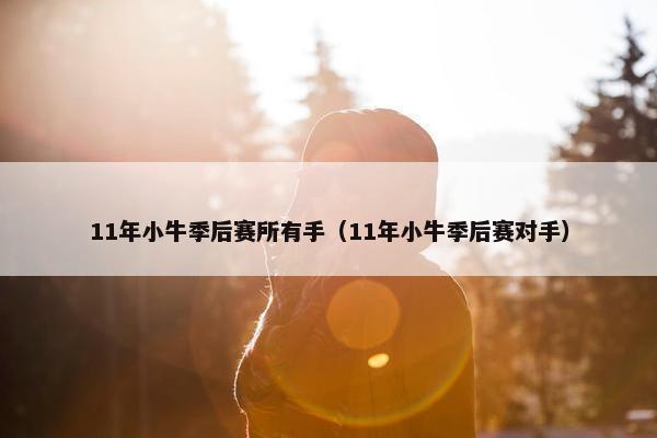 11年小牛季后赛所有手（11年小牛季后赛对手）