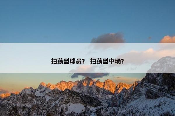 扫荡型球员？ 扫荡型中场？