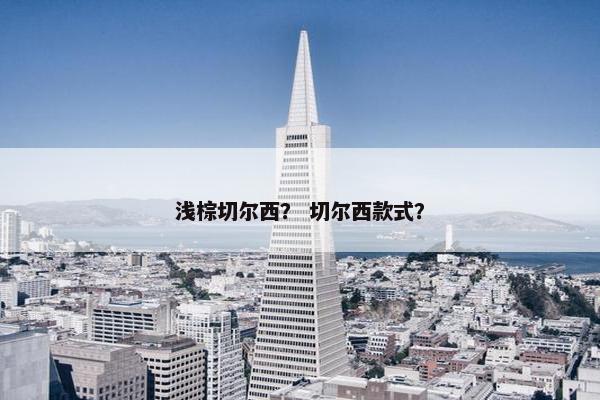 浅棕切尔西？ 切尔西款式？