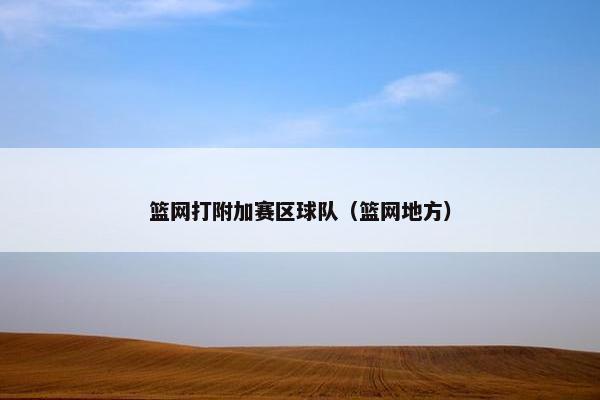 篮网打附加赛区球队（篮网地方）
