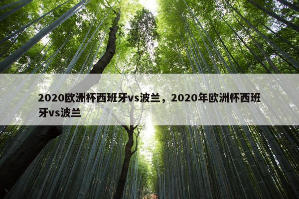 2020欧洲杯西班牙vs波兰，2020年欧洲杯西班牙vs波兰