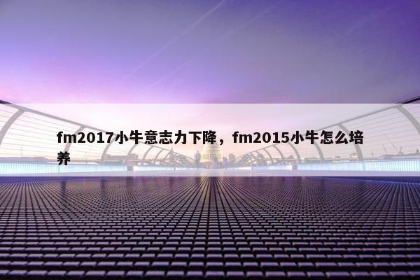 fm2017小牛意志力下降，fm2015小牛怎么培养