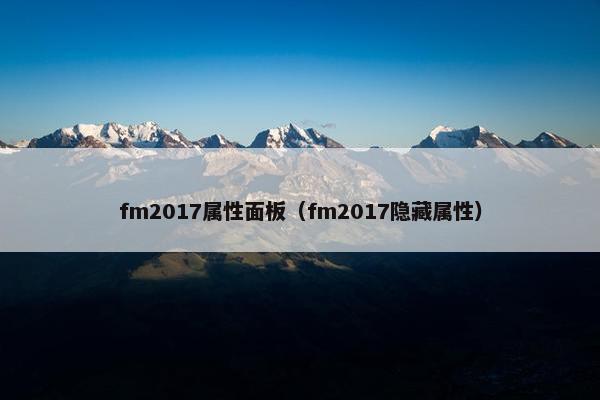 fm2017属性面板（fm2017隐藏属性）