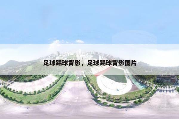 足球踢球背影，足球踢球背影图片