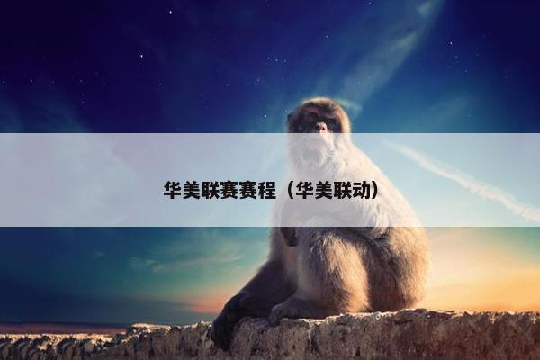 华美联赛赛程（华美联动）