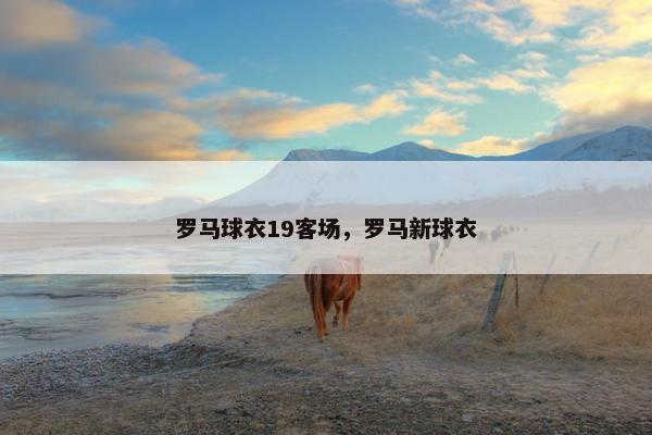 罗马球衣19客场，罗马新球衣