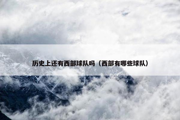 历史上还有西部球队吗（西部有哪些球队）