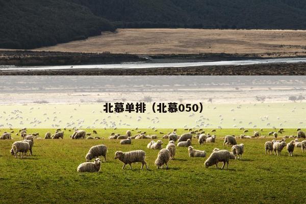 北慕单排（北慕050）