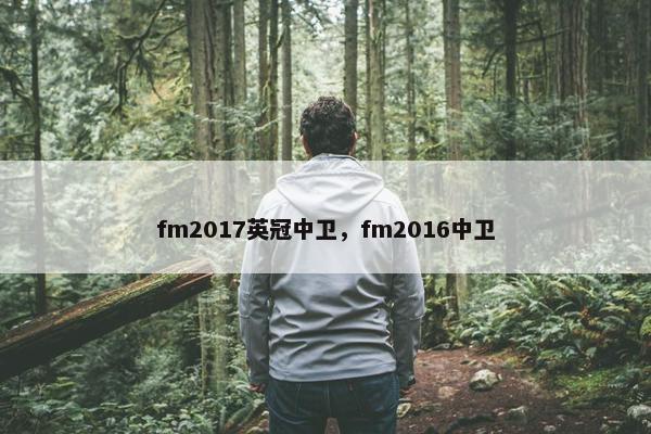 fm2017英冠中卫，fm2016中卫