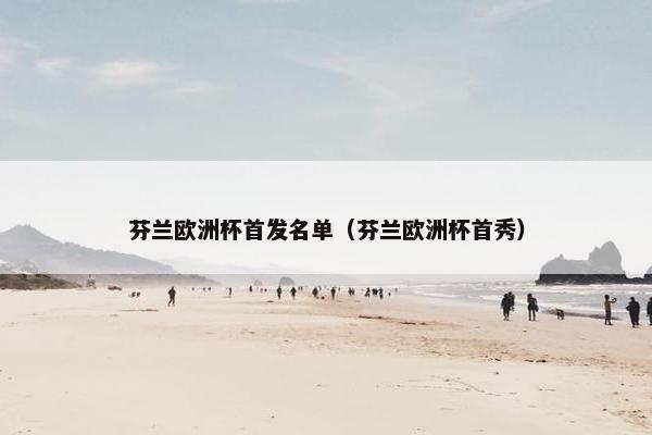 芬兰欧洲杯首发名单（芬兰欧洲杯首秀）