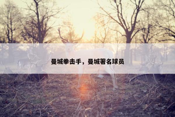 曼城拳击手，曼城著名球员