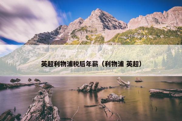 英超利物浦税后年薪（利物浦 英超）