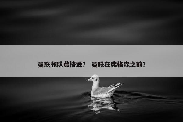 曼联领队费格逊？ 曼联在弗格森之前？