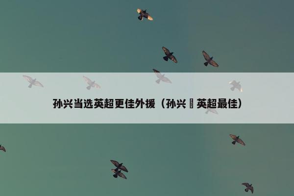孙兴当选英超更佳外援（孙兴慜英超最佳）