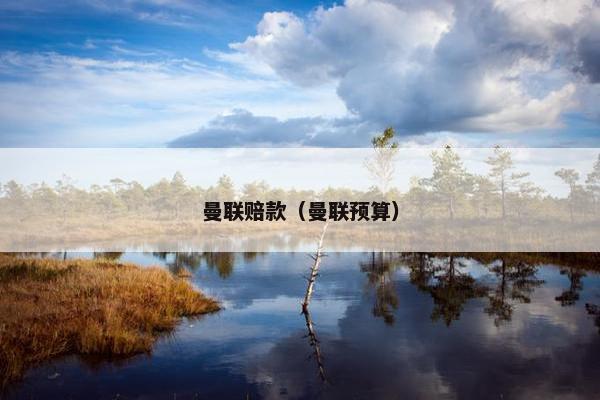 曼联赔款（曼联预算）