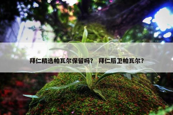 拜仁精选帕瓦尔保留吗？ 拜仁后卫帕瓦尔？