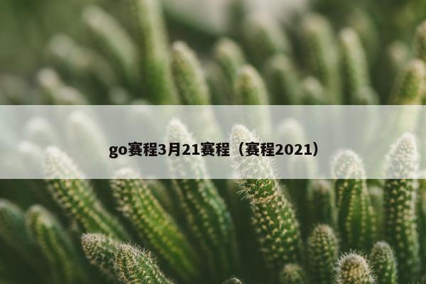 go赛程3月21赛程（赛程2021）