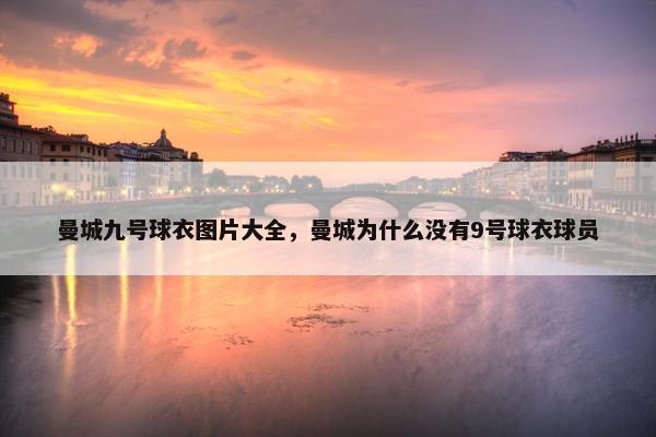 曼城九号球衣图片大全，曼城为什么没有9号球衣球员