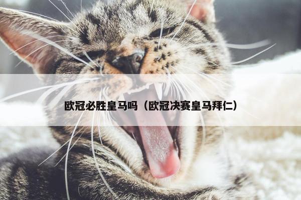 欧冠必胜皇马吗（欧冠决赛皇马拜仁）