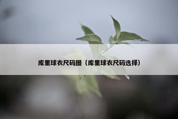 库里球衣尺码图（库里球衣尺码选择）