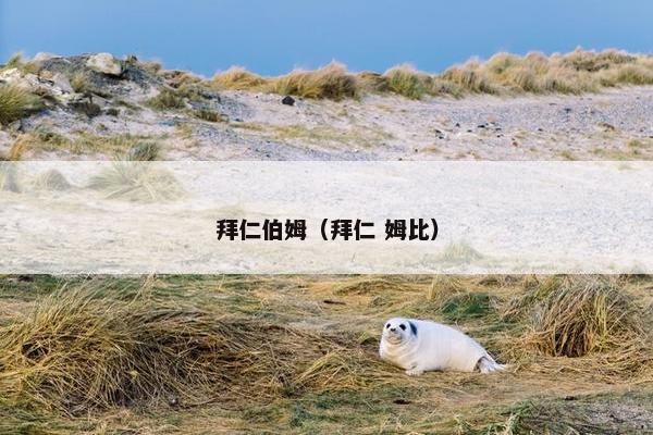 拜仁伯姆（拜仁 姆比）