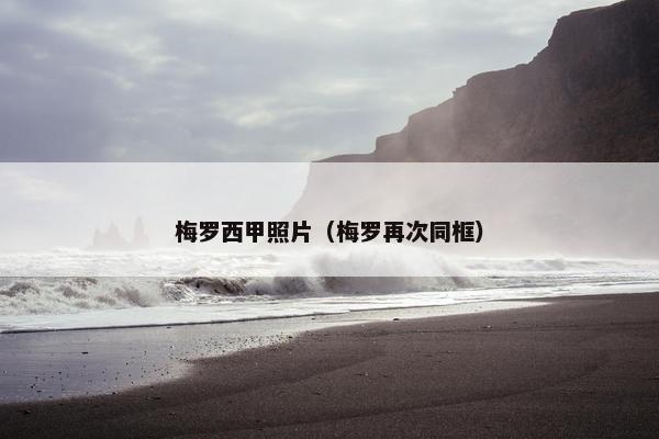 梅罗西甲照片（梅罗再次同框）