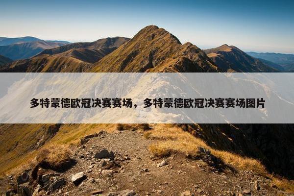 多特蒙德欧冠决赛赛场，多特蒙德欧冠决赛赛场图片