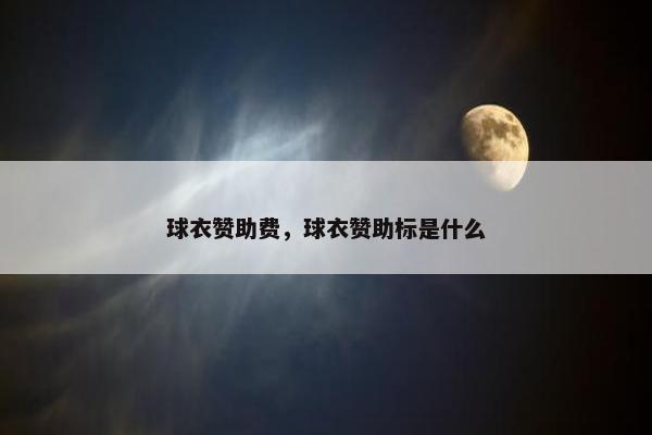 球衣赞助费，球衣赞助标是什么